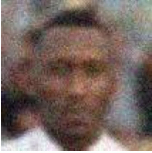 The degraded input photograph.