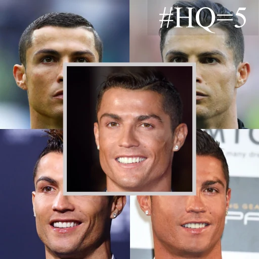 The album of five reference photos, with the sharp ones marked.